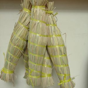 Tré rơm Bình Định 1